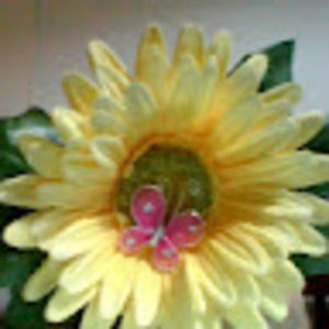 Meet your Posher, Vicky